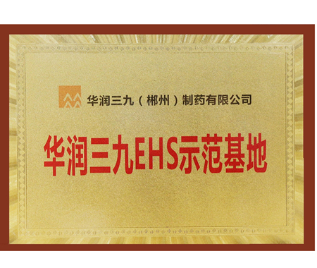 ±gg漣EHSģ